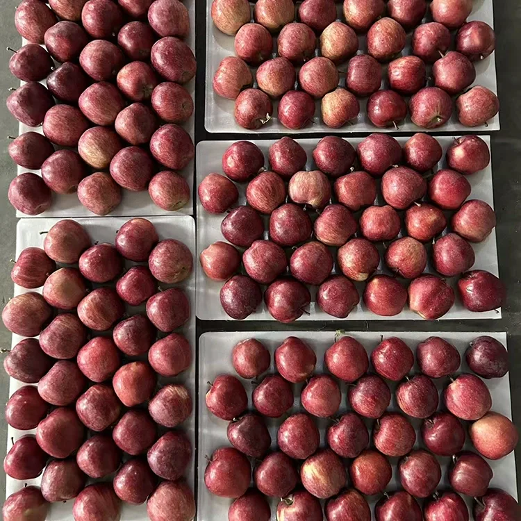 Heldere Rode Ster Appels