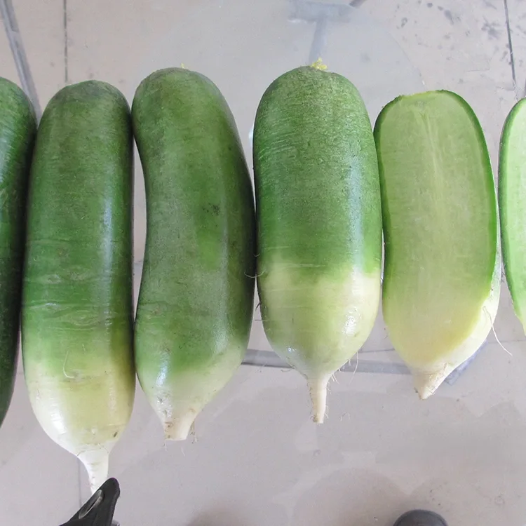 Knapperige groene radijs