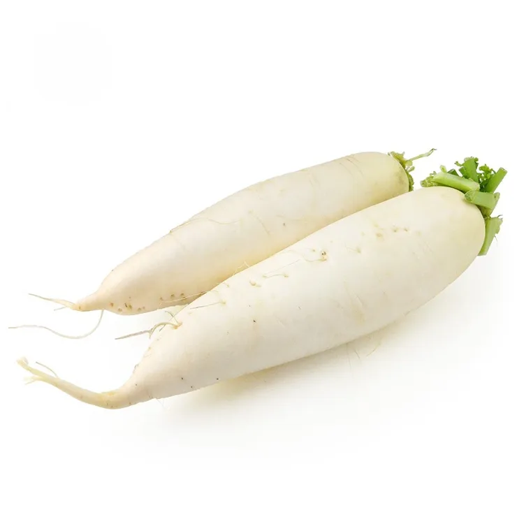 Knapperige witte radijs
