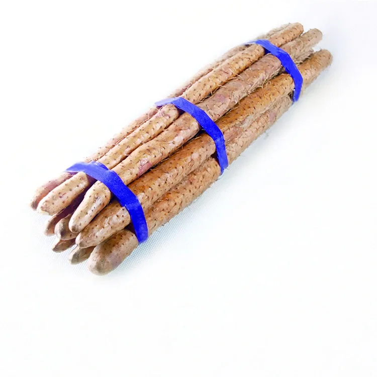 Verse Chinese Yam