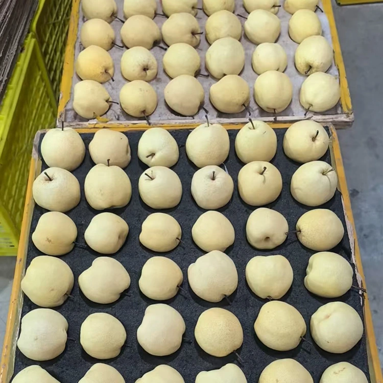 Vers geplukte Gong-peren