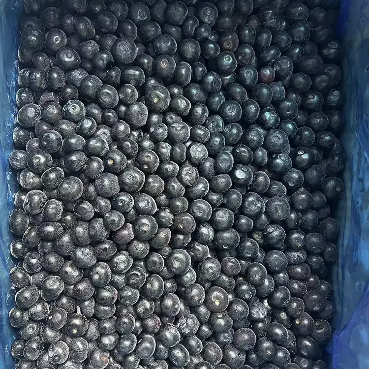 Bevroren bosbessen Premium IQF bosbessen