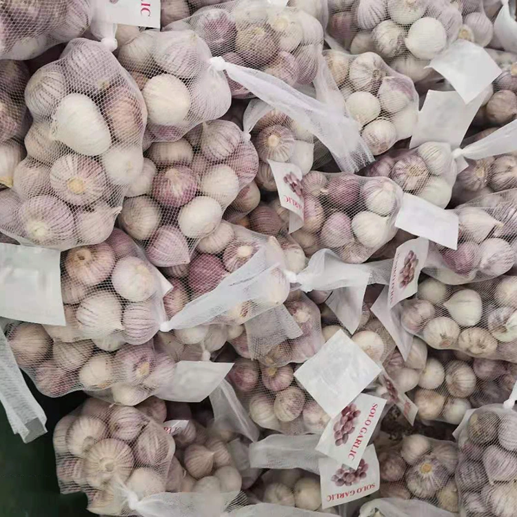 Hoge kwaliteit enkele teentje knoflook