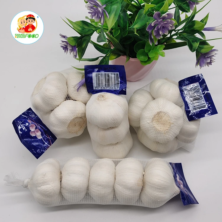 Export Grade Pure White Garlic