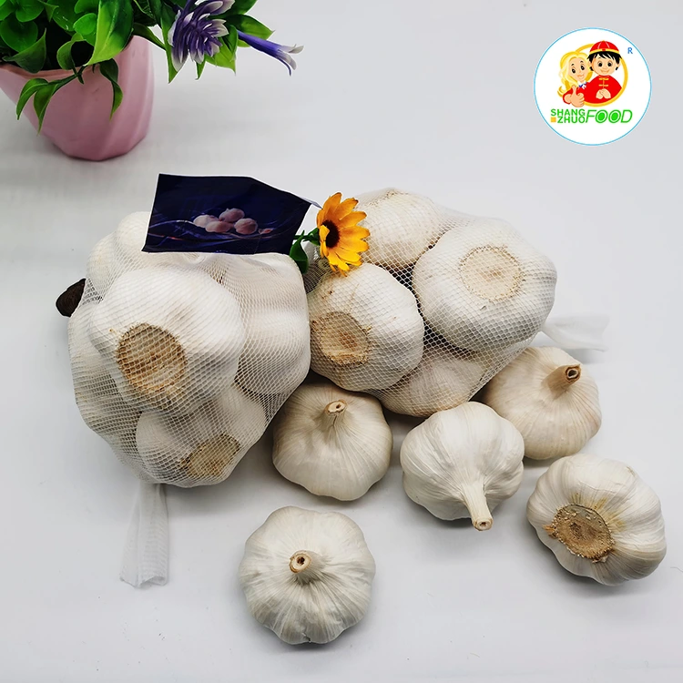 Export Grade Pure White Garlic