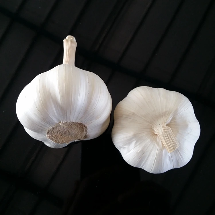 Export Grade Pure White Garlic