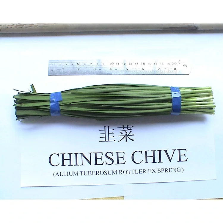 Farm Fresh Chinese Chives