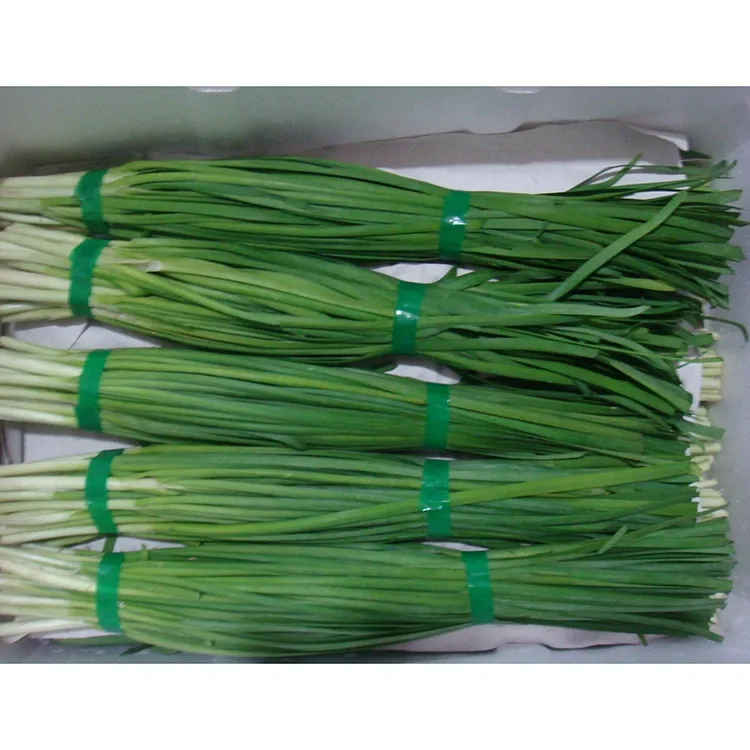 Farm Fresh Chinese Chives
