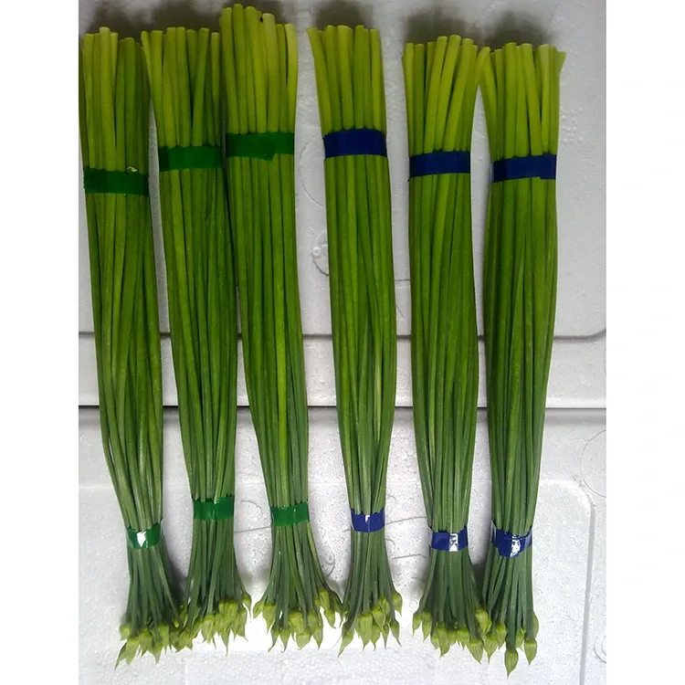 Farm Fresh Chinese Chives