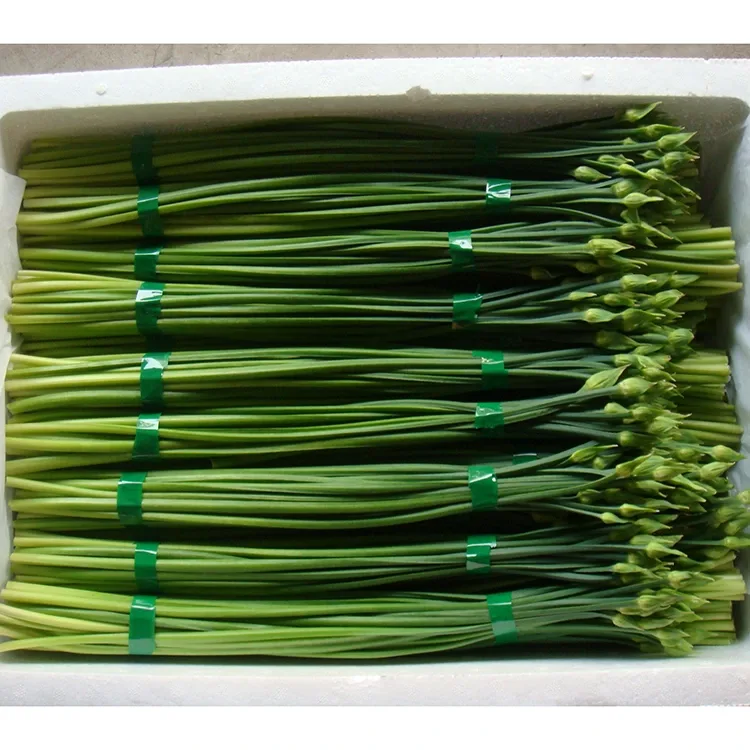 Farm Fresh Chinese Chives