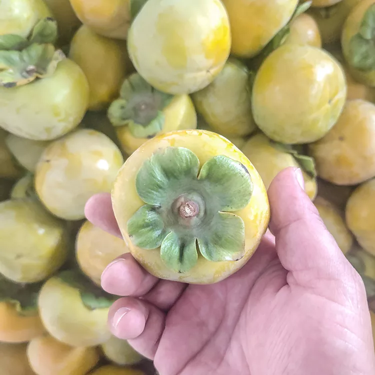 Premium verse knapperige persimmon