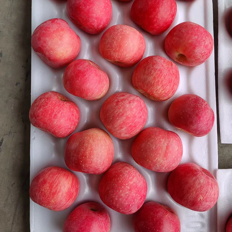 Premium verse Fuji-appels