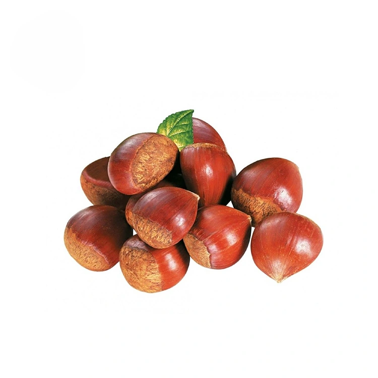 Kastanjes van topkwaliteit